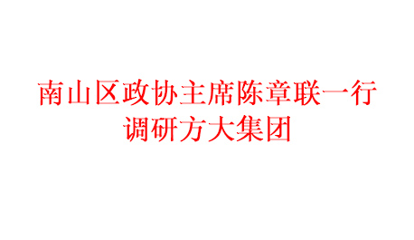 南山區(qū)政協(xié)主席陳章聯(lián)一行調(diào)研方大集團